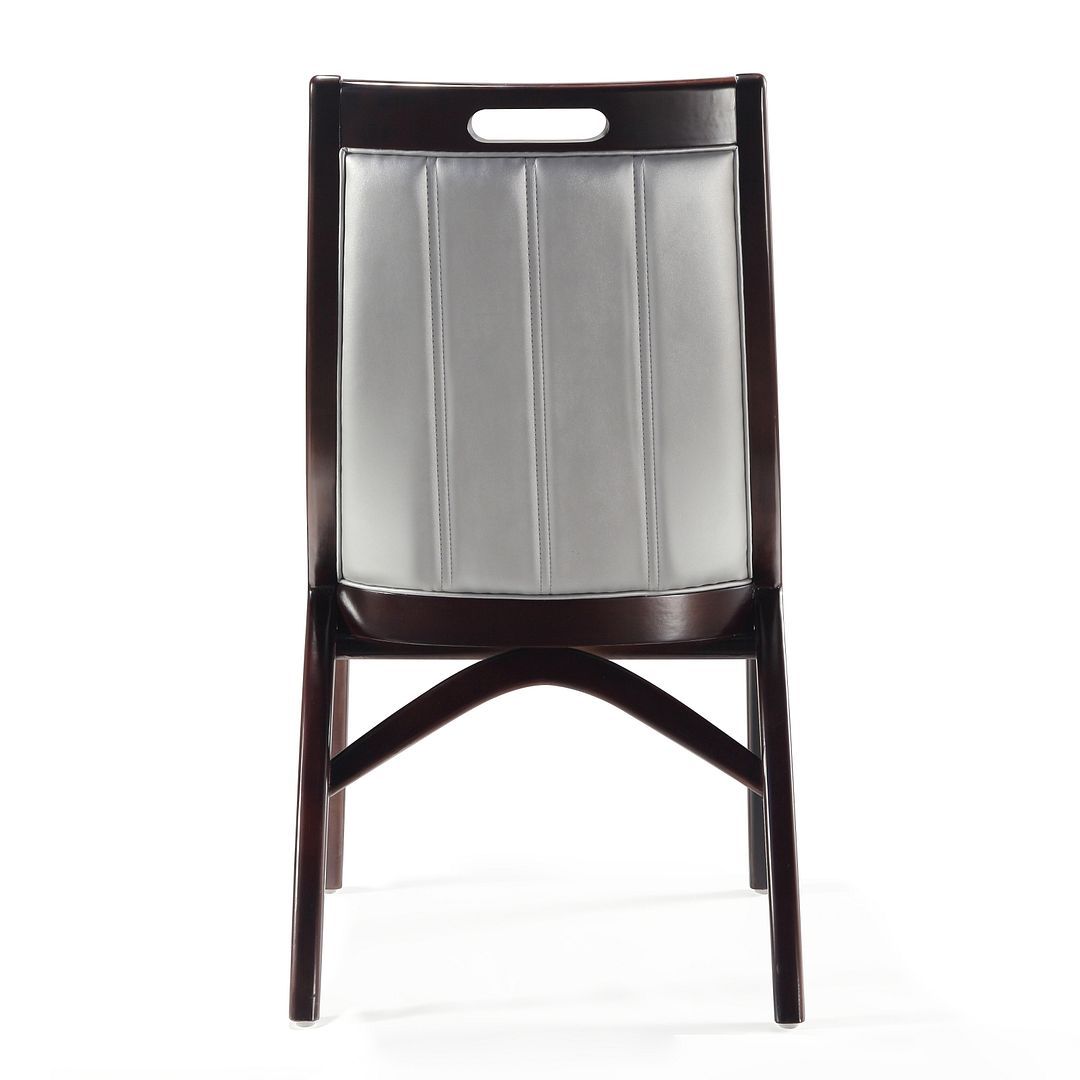 Manhattan Comfort Danube Leatherette Dining Chair - Set of 2