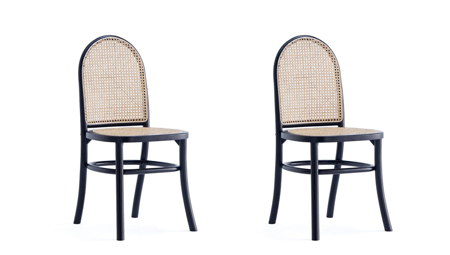 Manhattan Comfort Paragon Dining Chair 2.0 - Set of 2